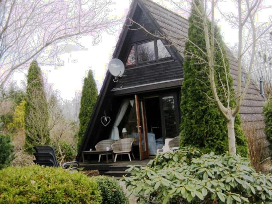 Nurdachhaus Mit Kaminofen Und Grossem Grundstueck Villa Faßberg Kültér fotó